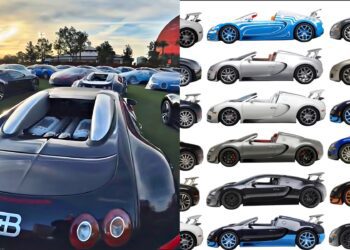 A record-breaking gathering: 60 Bugattis unite at the Las Vegas Concours d’Elegance, with sports cars parked outdoors at sunset on the left and various Bugatti models shown in profile on a white background on the right.
