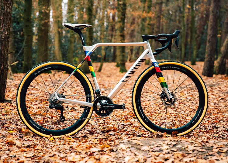 A silver Canyon road bike with colorful accents on the frame and wheels stands on a leaf-covered forest floor.