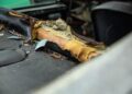 Close-up of a car interior showing torn and deteriorated upholstery, with exposed foam and wood beneath the damaged seat covering—an incredible story behind this rare DB5 awaits at Aston Martin Works.