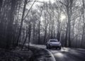 A silver Porsche Macan Electric drives on a winding road through a leafless forest, sunlight shining through the trees—capturing the spirit of a Road to Christmas adventure.